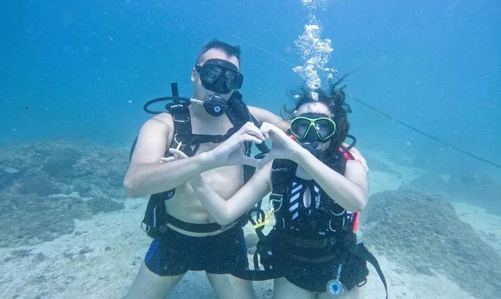 Try Scuba Diving & snorkeling with BBQ lunch & Transfer