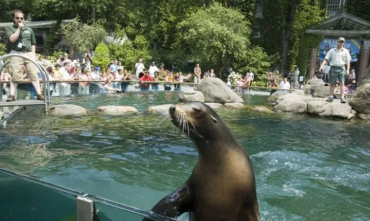 Central Park Zoo and 3hrs Manhattan Walking Tour