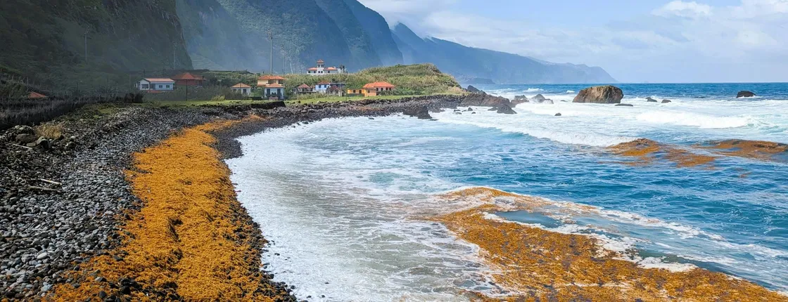 Madeira's North Side express private tour