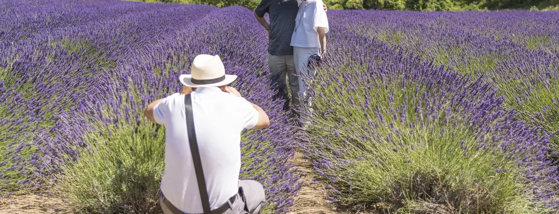 Lavender fields morning tour from Aix en Provence