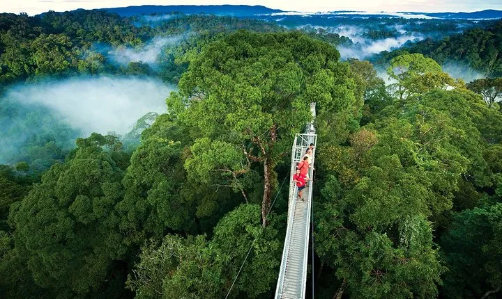 Private Transport San Jose to Monteverde