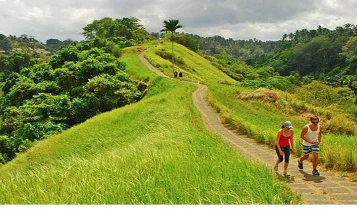 Private Tour: Campuhan Ridge Walk, Ubud Rice Terrace & Ubud Palace
