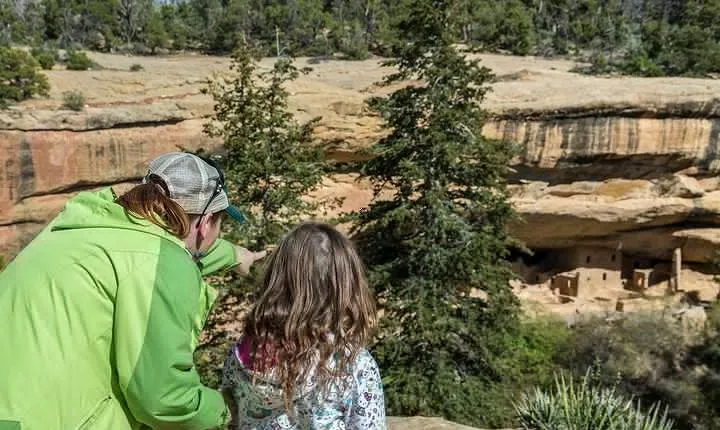 700 Year Tour - Half Day Mesa Verde Cultural Tour