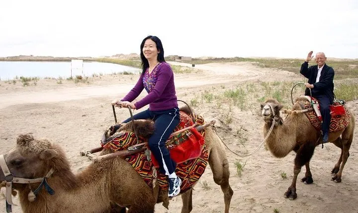 Best Fun and Cheap 2 Hours Camel Experience in Agadir