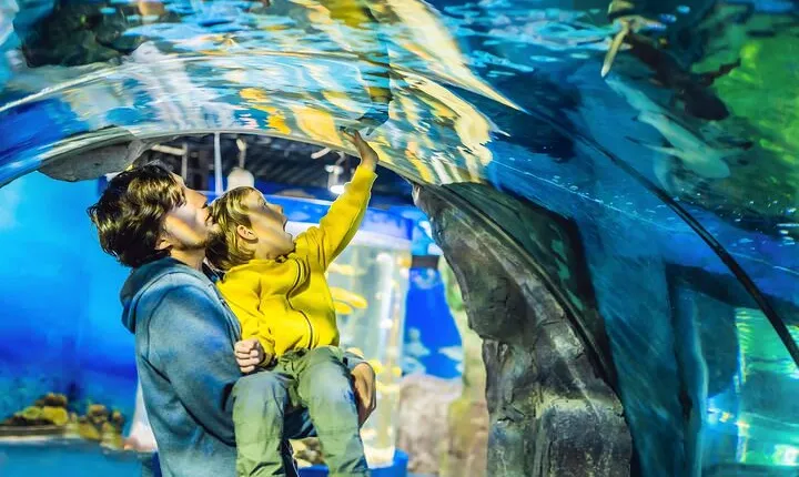 Dubai Aquarium & Underwater Zoo Entrance Ticket