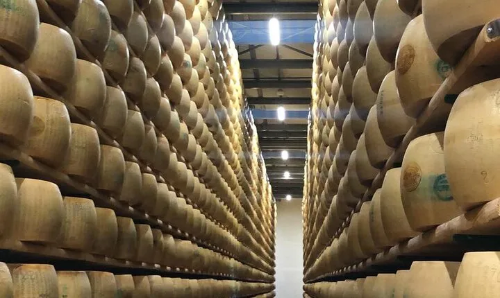 Food and wine tour from Bologna