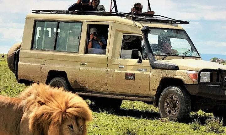 Private Multi Day Serengeti Safari