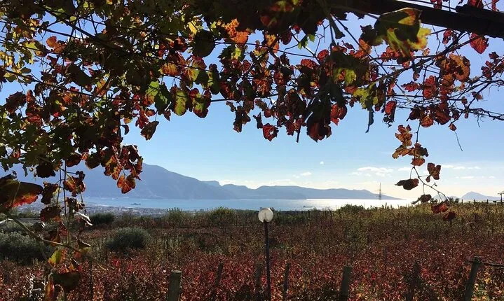 Pompeii, food and Wine