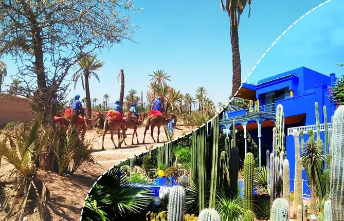 Best of Kech Tour: Majorelle Garden with Camel Ride in the Palms from Marrakech