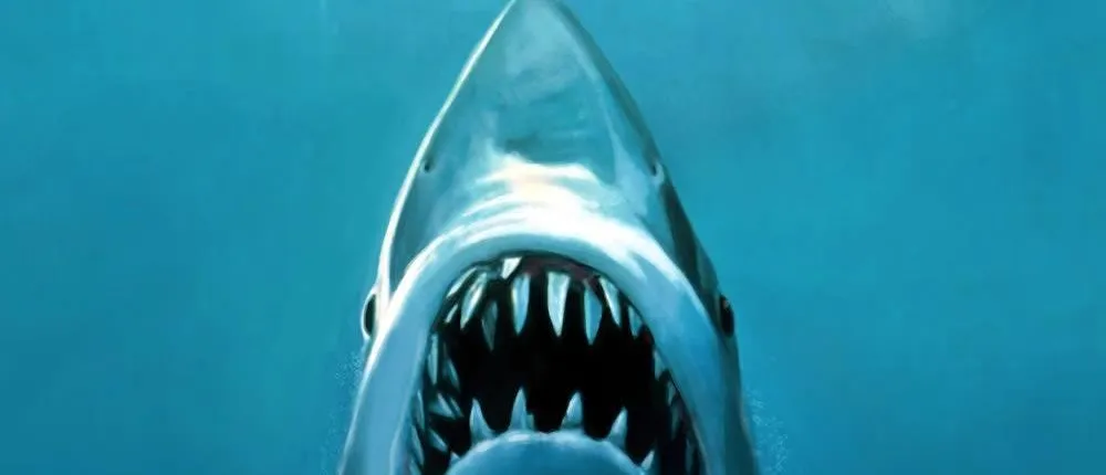 Martha's Vineyard Jaws movie private tour