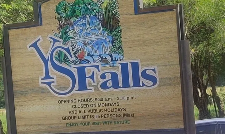 Private YS Falls and Black River Safari from Montego Bay