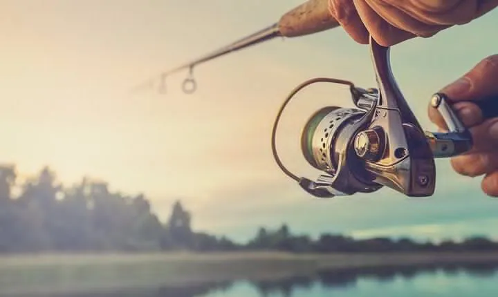 Full-Day Fishing Experience With Barbecue In Santos – Pick-up In Santos