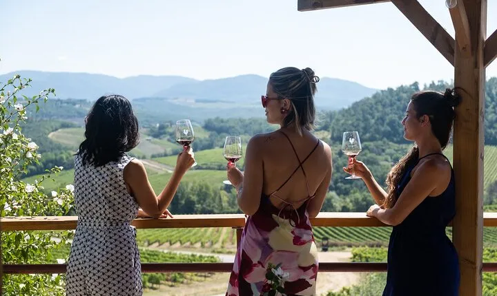 Chianti Wine Tour with 3 Wineries, Food Pairings and Tuscan Lunch