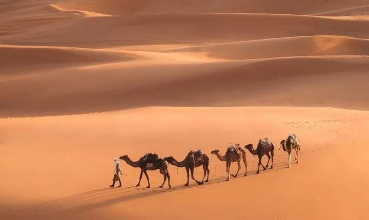 Fes To Marrakech: 3-Day Desert Tour