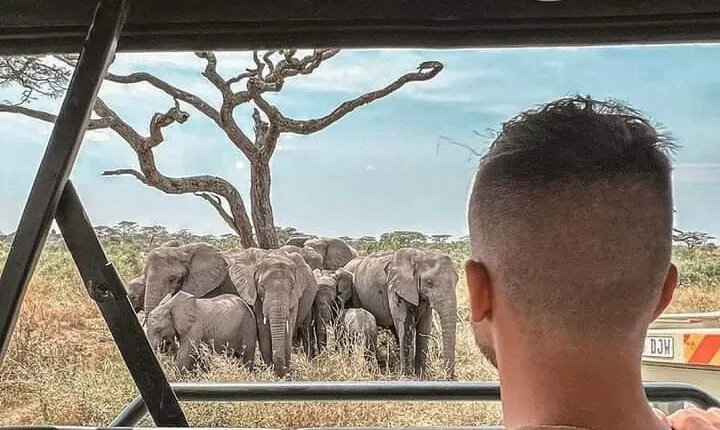 2 Days Safari to Tarangire, Ngorongoro Crater and Snake Park
