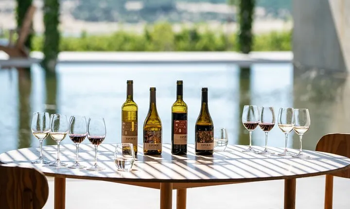 1 Day Wine Tour Around Évora