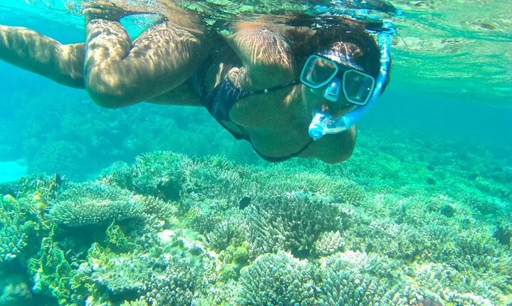 Ras Mohamed National Park Snorkeling Adventure