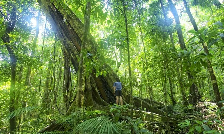Mossman Gorge Daintree Experience Small Groups
