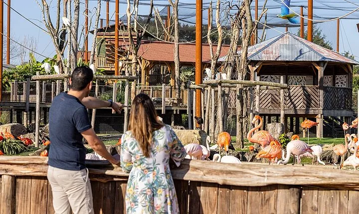 Parrot World Immersive Wildlife Park Entry Ticket next to Paris