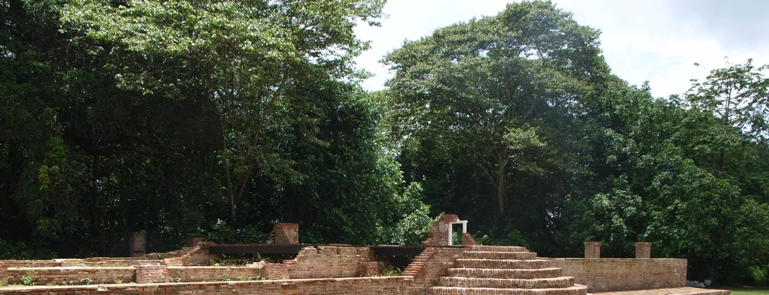 Jodensavanne and Overbridge full-day guided tour