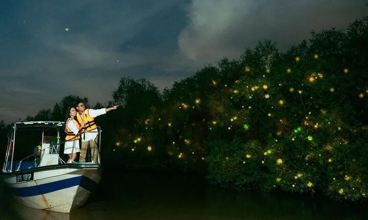 Kuala Selangor Firefly Boat Tour with Roundtrip Transfer from Kuala Lumpur