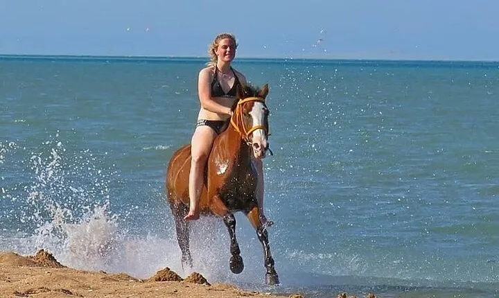  Horse Riding Tour 2 Hours on Sea And Desert & Transfer -Hurghada