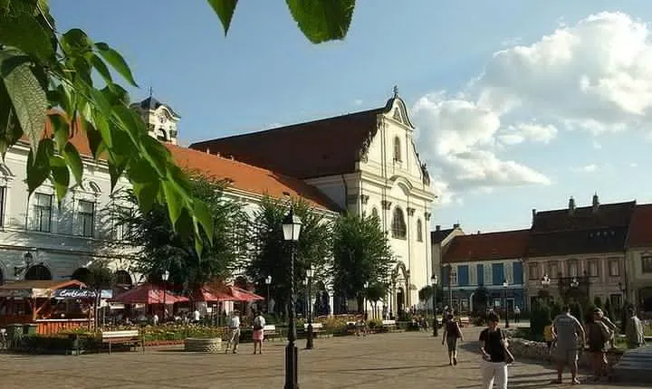 Private Danube Bend Tour with Szentendre and Vac stops and delicious lunch