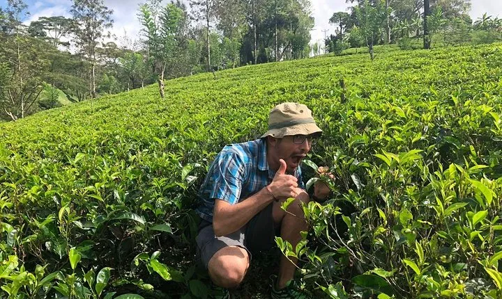 Ceylon Tea Tour (10 Days)