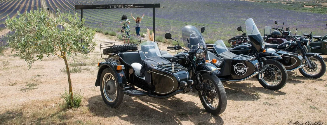 Retro side-car lavender fields & wine tour from Aix-en-Provence