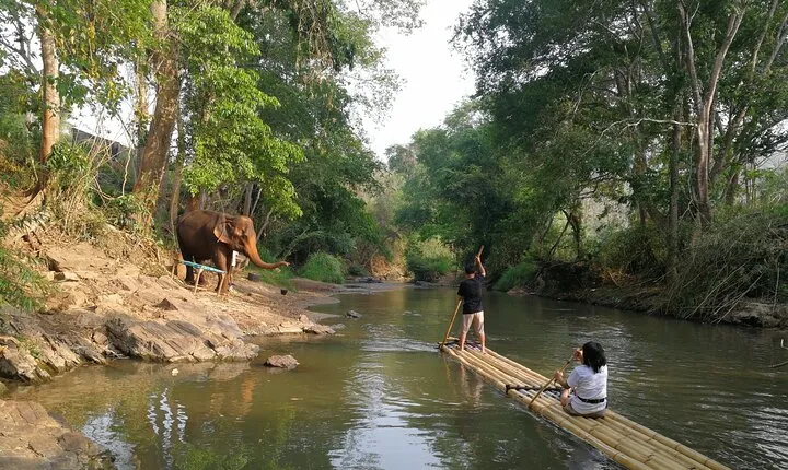 Elephant Sanctuary + Waterfall + Bamboo Rafting One Day Trip