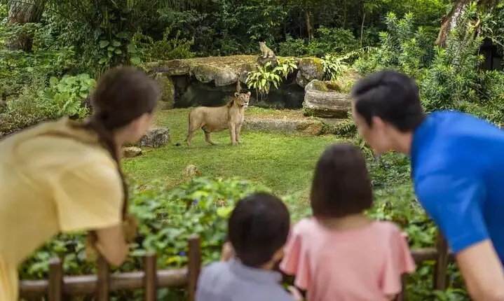 Singapore Zoo Ticket | Mandai Wildlife Reserve, Singapore