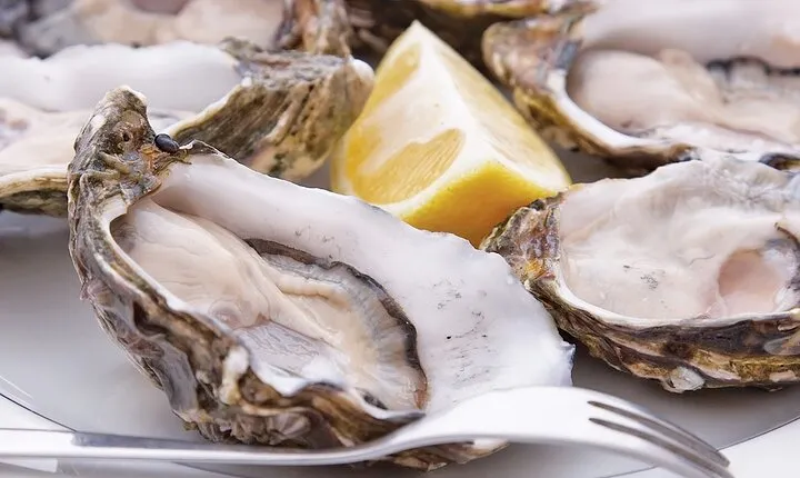 Oyster Farm Private Tour with Oysters and Wine Tasting