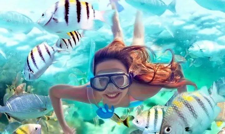 Full-Day ATV + 4 Ziplines + Cenote Swim + Yalkú Snorkeling
