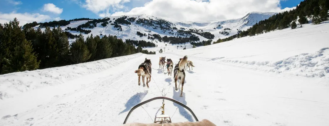 El Tarter area husky sleigh ride experience