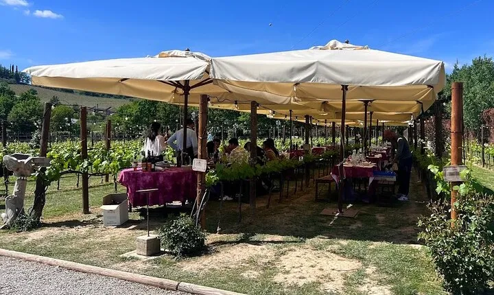 Florence: Siena and San Gimignano, Full Day Small Group Wine Tour