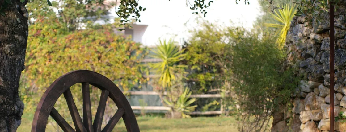 Traditional Algarve tour