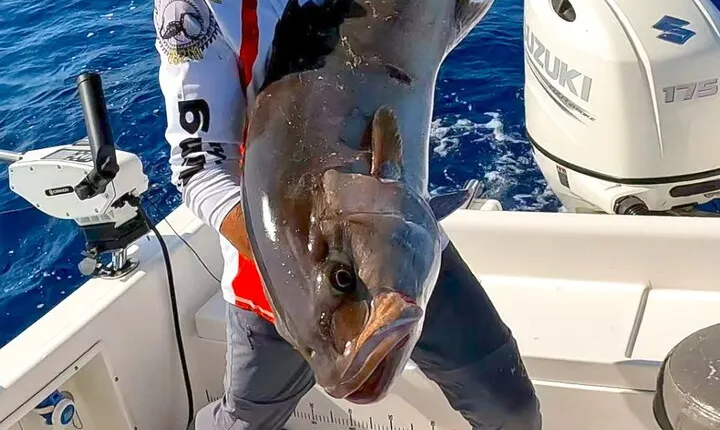Private Day of Sport Fishing in Saint Laurent du Var