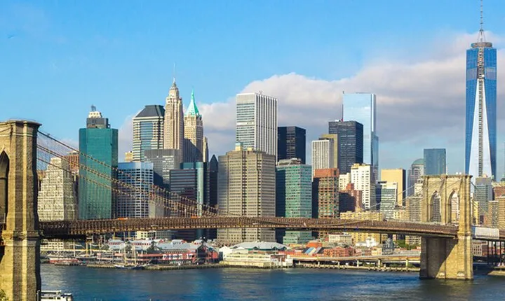 Private New York City Half Day Guided Tour - The Downtown Experience