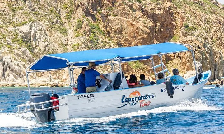 Glass-Bottom Boat Cruise in Cabo San Lucas
