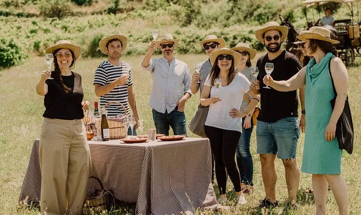 Montserrat Private Tour, Lunch & Wine Tasting in Penedes Winery