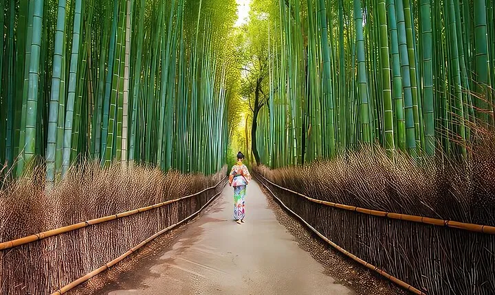 Kyoto Arashiyama Walking Tour - Bamboo, Monkeys, Temple & Secrets