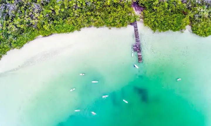 Premium SUP Expedition to Lagoon Kaan Luum & Taco Stop in Tulum