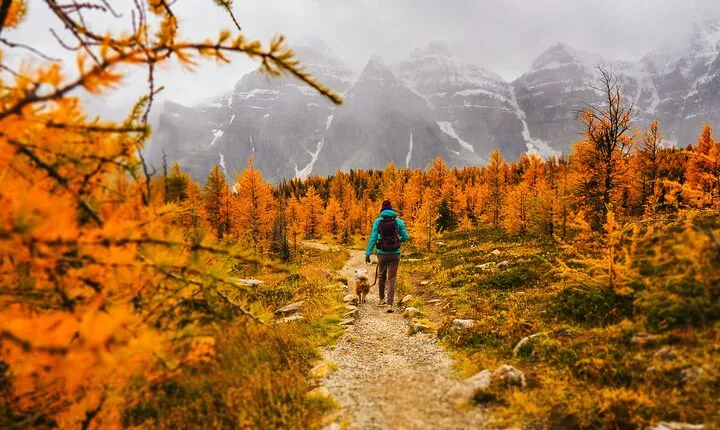 Moraine Lake: Larch Valley Hike, Departure from Banff