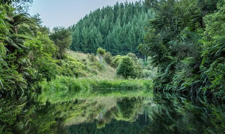 Twilight Kayak Glow worm Tour