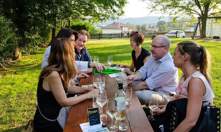 Countryside Half Day Wine Tour near Vienna