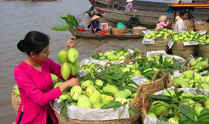 Cai Rang Floating Market & Mekong Delta Private Tour from HCM city
