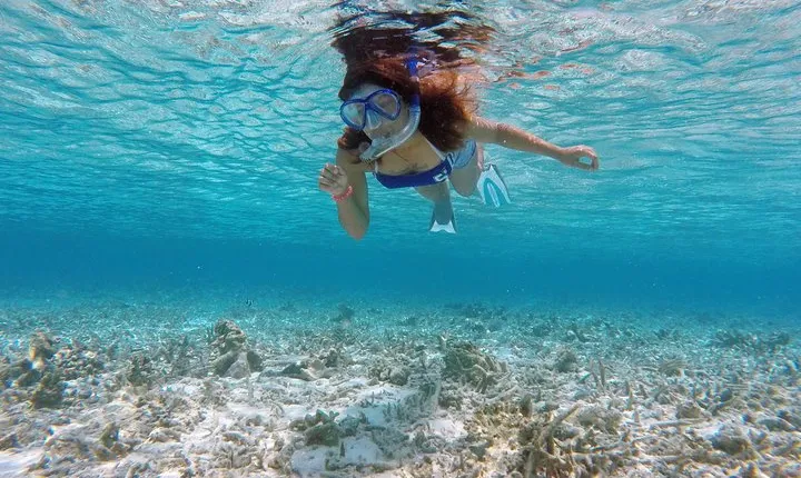 Guided Snorkeling Trip