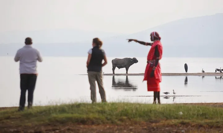 2-Day Flamingo & Rhino Safari at Lake Nakuru