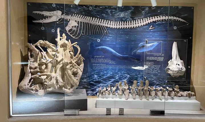 Whales Valley Museum, Magic Lake and Waterfalls in Faiyum Desert