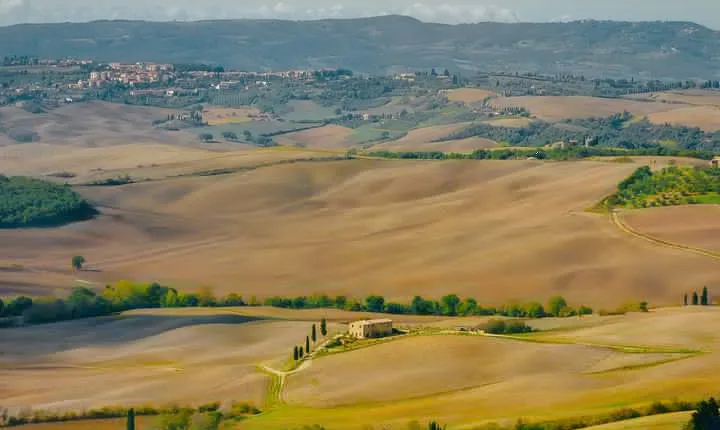 Montepulciano: Wine Tasting & Lunch in a typical winery
